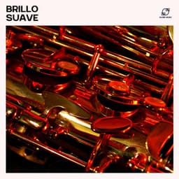 Brillo Suave: Jazz Suave - Academia de Música Sensual