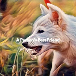 A Person's Best Friend - Jazz Lounge Bar Relaxing