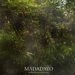 Madadayo - Fresh Air and Meditation