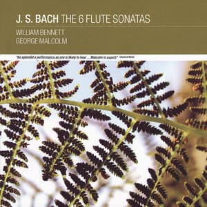 J. S Bach: The 6 Flute Sonatas - Johann Sebastian Bach