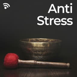Anti Stress Sounds - No Stress Ensemble