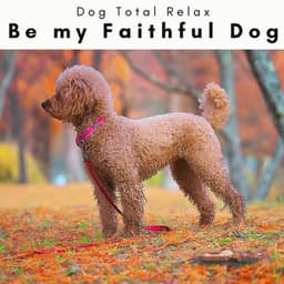 1 Be my Faithful Dog - Dog Total Relax