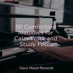 50 Comforting Melodies for Calm Work and Study Focus - Ivory Mood