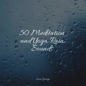 50 Meditation and Yoga Rain Sounds - Kinderlieder Megastars