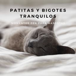 Patitas Y Bigotes Tranquilos: Momentos Zen Para Mascotas - LM Sour