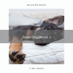 2021 New: Good Doggie vol. 1 - Relaxmydog