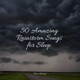 50 Amazing Rainstorm Songs for Sleep - Organic Nature Sounds
