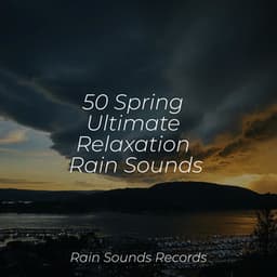 50 Spring Ultimate Relaxation Rain Sounds - Relaxing Rain Sounds