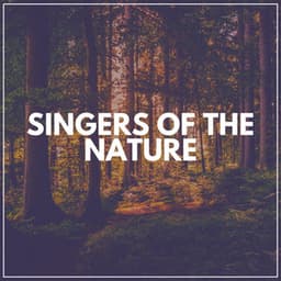 Singers of the Nature - Florida Nature