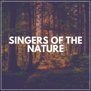 Singers of the Nature - Florida Nature