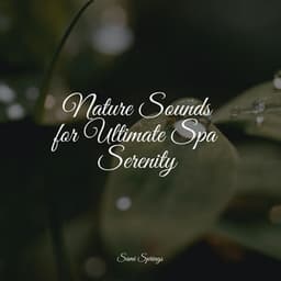 Nature Sounds for Ultimate Spa Serenity - Rain Sounds XLE Library