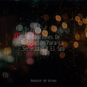 50 Canciones De Relajación Para La Serenidad Y El Spa - Lullabies for Deep Meditation