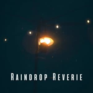 Raindrop Reverie: Ambient Sounds for Tranquil Sleep - Rain for Deep Sleeping