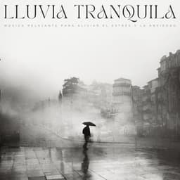 Lluvia Tranquila: Música Relajante Para Aliviar El Estrés Y La Ansiedad - Sonidos de lluvia y naturaleza