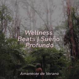 Wellness Beats | Sueño Profundo - MÚSICA PARA NIÑOS
