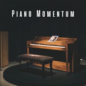 Piano Momentum: Ambient Storm Serenades for Intense Study - Study Piano Music