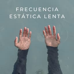 Frecuencia Estática Lenta - Silenciador de Ruido