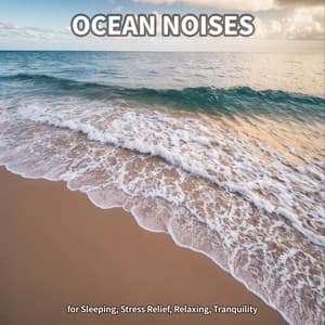 #1 Ocean Noises for Sleeping, Stress Relief, Relaxing, Tranquility - Ocean Sounds Collection