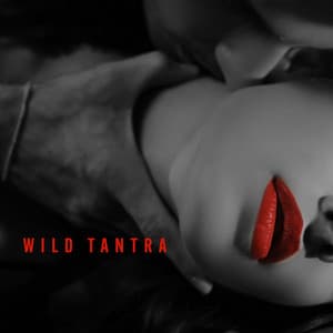 Wild Tantra: Sensual Practice for Erotic Balance, Intimacy & Tantric Experience - Tantric Love Methods
