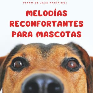 Piano De Jazz Pacífico: Melodías Reconfortantes Para Mascotas - Cóctel Piano Bar Jazz
