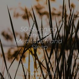 50 Stunning Tones for Meditation and Sleep - Música ambiental relajante