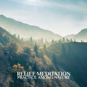 Relief Meditation - Practice Among Nature: Delicate Sounds, Healing Music - Deep Meditation Music Zone