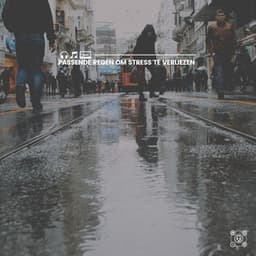 Passende regen om stress te verliezen - Geluiden van de Regen