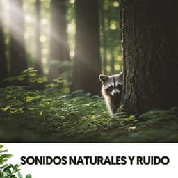 Sonidos Naturales y Ruido: Aire puro en melodía - Ruido Blanco Hart