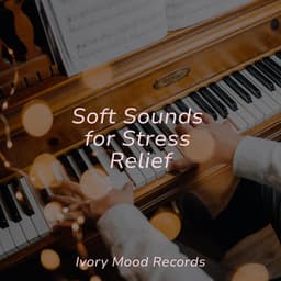 Soft Sounds for Stress Relief - Ivory Mood