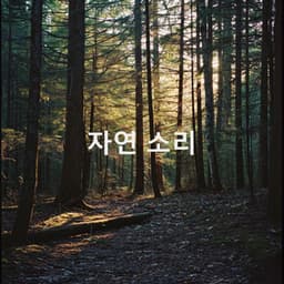 자연 소리 - Nature Sounds Nature Music