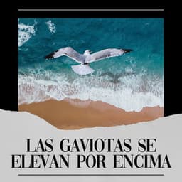 Las Gaviotas Se Elevan por Encima - Olas del Mar