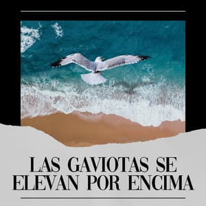 Las Gaviotas Se Elevan por Encima - Olas del Mar
