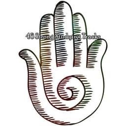 46 Strong Studying Tracks - Musique Zen Garden