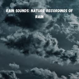 Rain Sounds: Nature Recordings of Rain - Weather and Nature Recordings