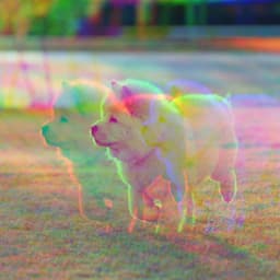 Tranquil Jazz Guitar - Bgm for Doggy Radio - Doggy Music Radio