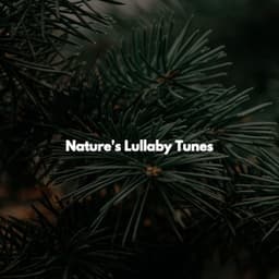 Nature's Lullaby Tunes - Jazz Lounge Bar Radio