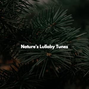 Nature's Lullaby Tunes - Jazz Lounge Bar Radio