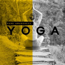 Pure Awareness Yoga: Revitalize Your Body & Mind, Yoga Music with Healing Sounds of Nature - Namaste Yoga Academy