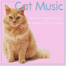 Cat Music: Relaxing Background Sounds for Pet Relaxation, Calming Therapy - Cat Music Dreams