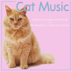 Cat Music: Relaxing Background Sounds for Pet Relaxation, Calming Therapy - Cat Music Dreams