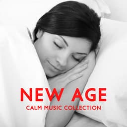 New Age Calm Music Collection: Insomnia Relief, Music for Study, Life Changing Meditation, Evening Yoga, Favorable Relaxation - Less Stress Music Academy