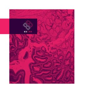 Toque Suave - 8D Lab - Música de piano