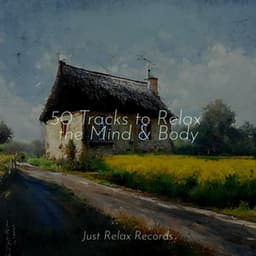 50 Tracks to Relax the Mind & Body - Relajacion Del Mar