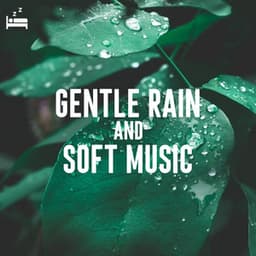 Gentle Rain and Soft Music - Rain Sounds Lab