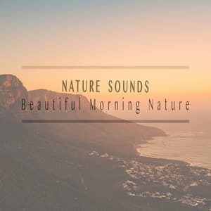 Beautiful Morning Nature - Nature Sounds