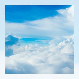 Sleep To Dream - Dream Supplier