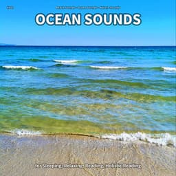 #001 Ocean Sounds for Sleeping, Relaxing, Reading, Holistic Reading - Beach Sounds