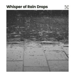 Whisper of Rain Drops - 24H Rain Sounds