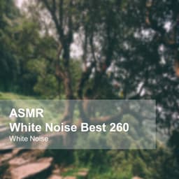 White Noise ASMR Best 260 - White Noise