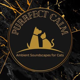 Purrfect Calm: Ambient Soundscapes for Cats - Cat meowing